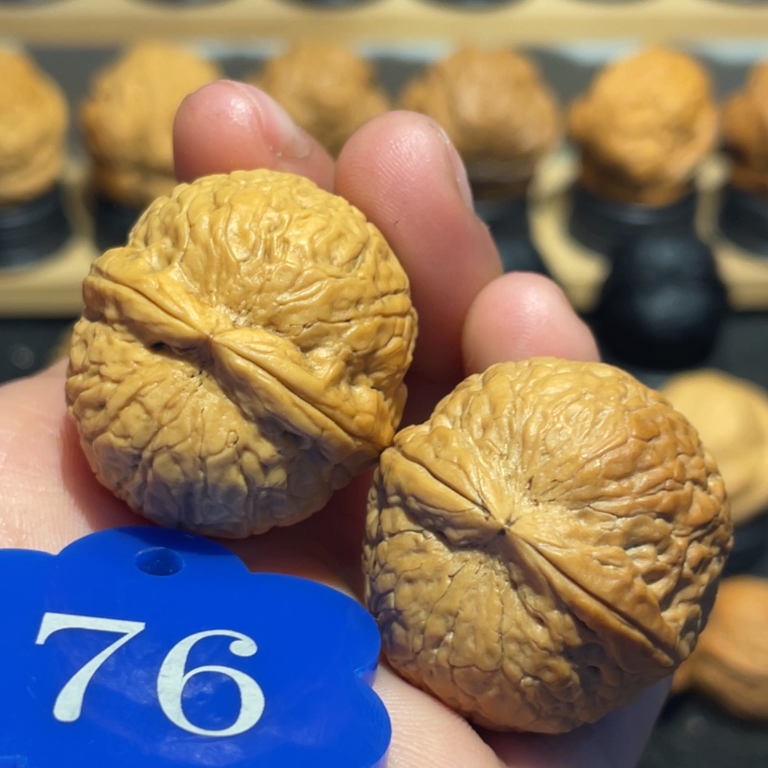 滴溜圆核桃微彩31
