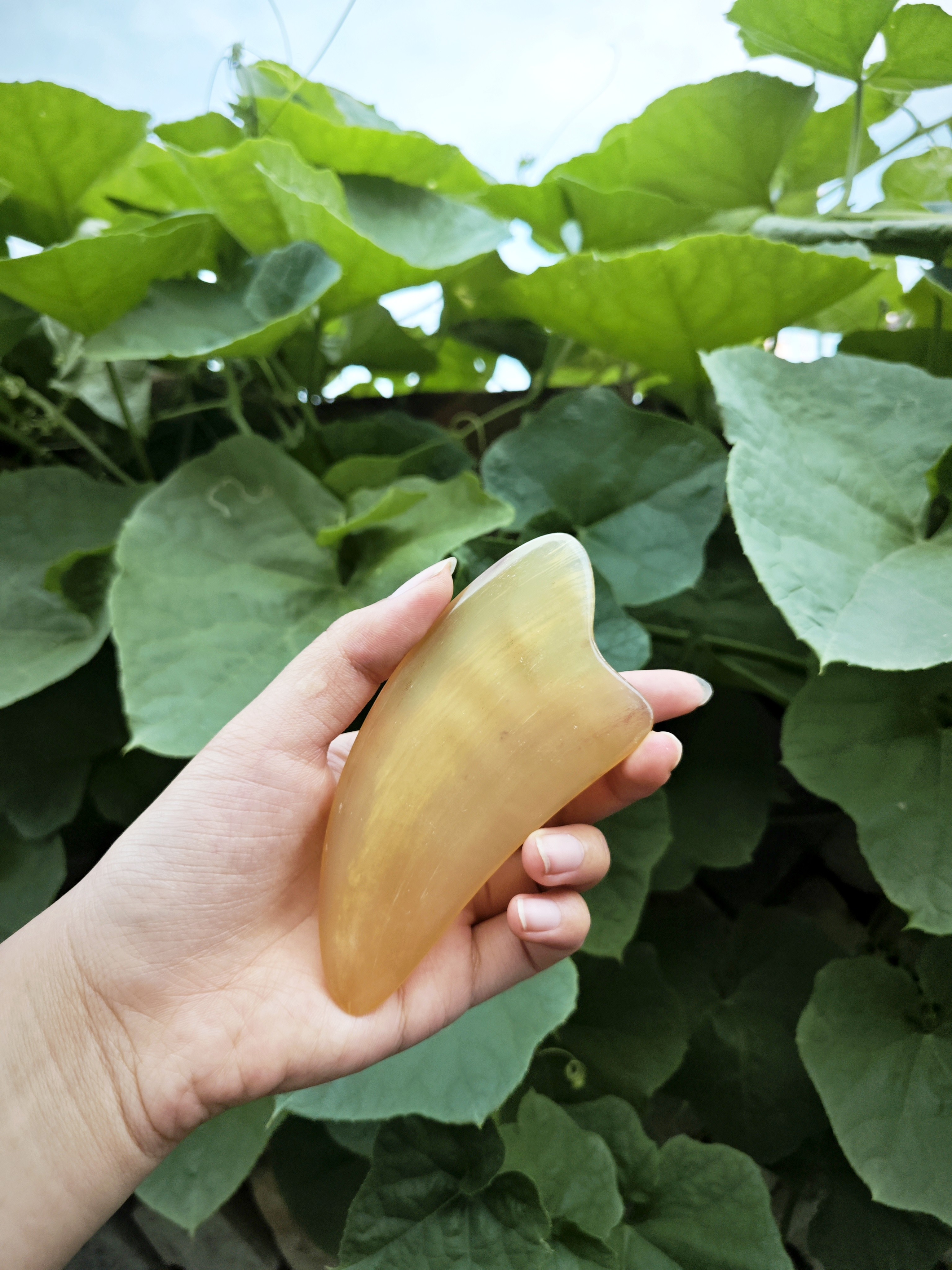 天然羊角爱心板脸部微瑕疵