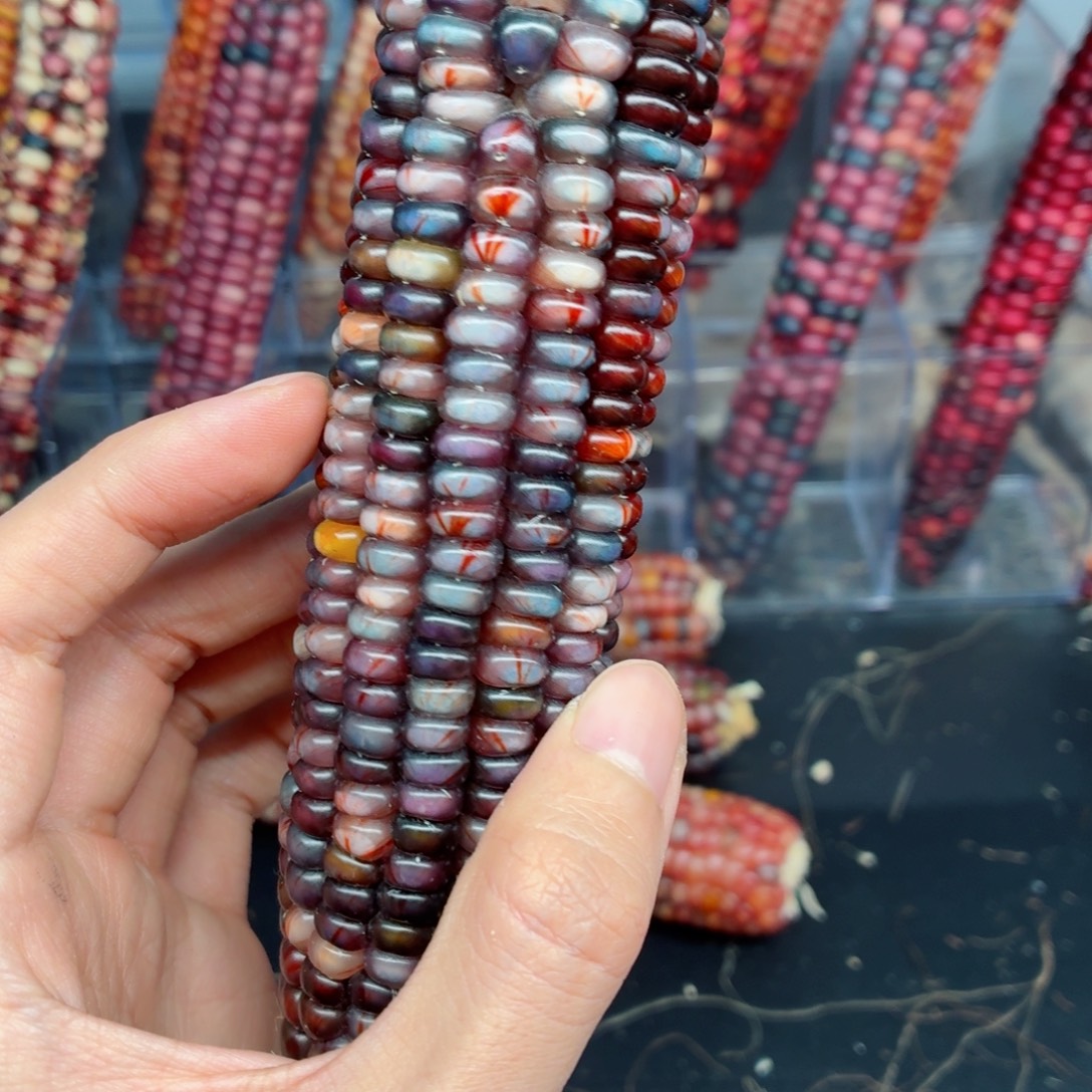 小***猫吊坠白玉菩提文玩精品文玩精品