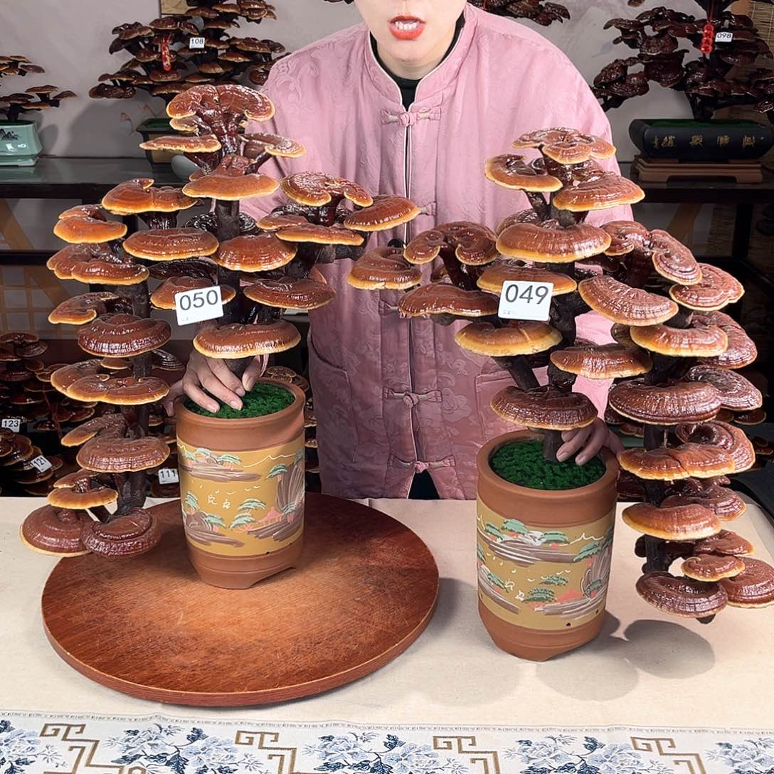 万事如意888888050049