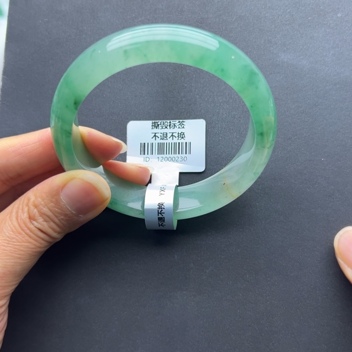 于***于石英质玉未镶嵌手镯燕子➕56.6