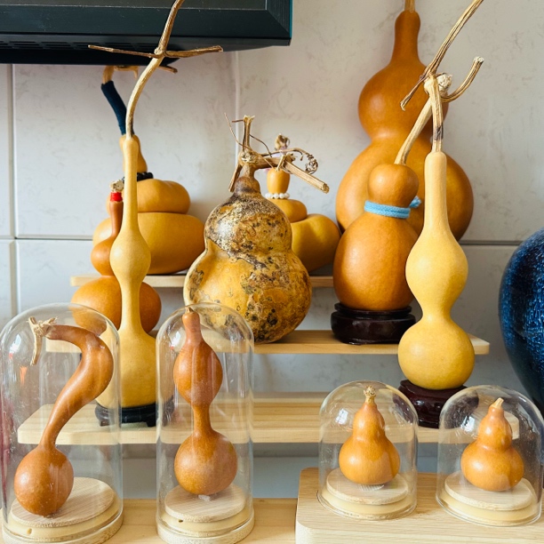 100-200精品葫芦一物一拍，对应价格下单，多样性发货，禁止跑单