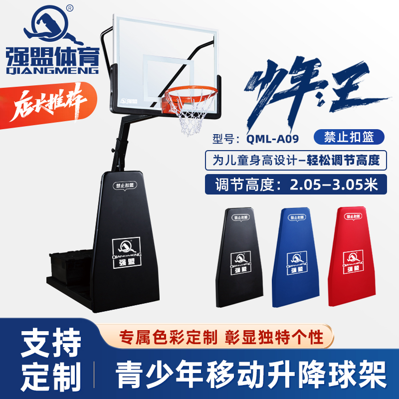 强盟青少年篮球架儿童移动升降篮球培训标准篮球架!