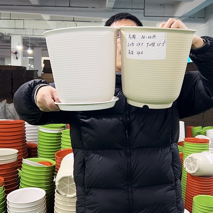 正品高陶口24.5高24.6米色带托5只