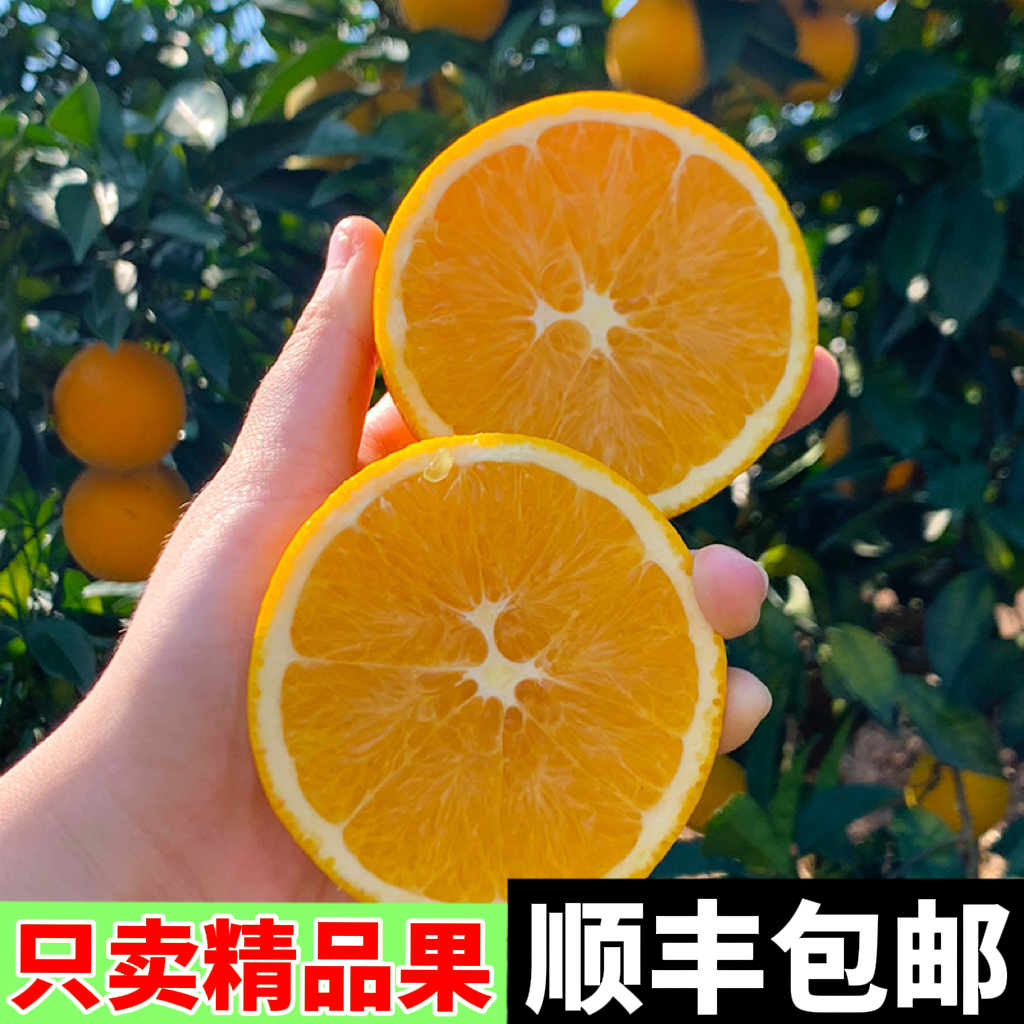 【老吴总专属】顺丰上门正宗赣南脐橙新鲜发货甜橙子应季水果5/10斤