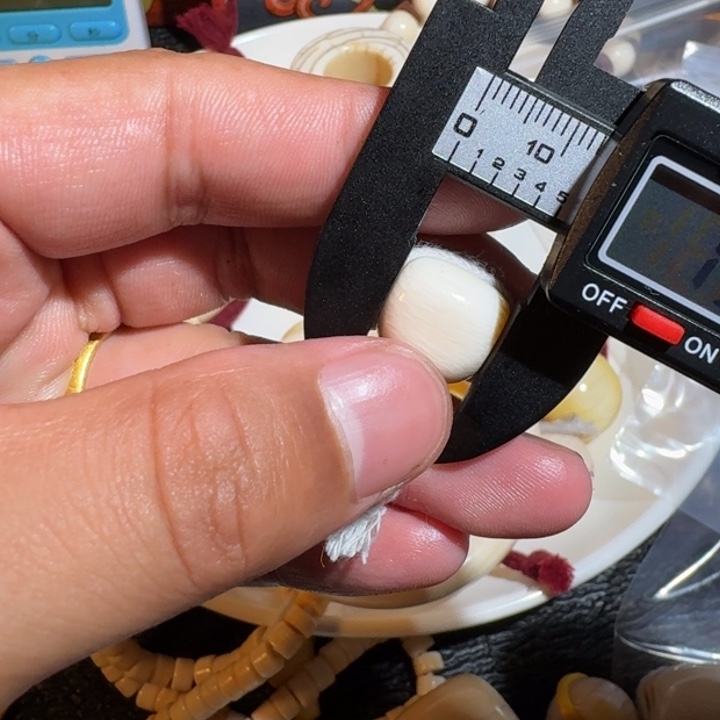 六***生菩提根/象牙果吊坠