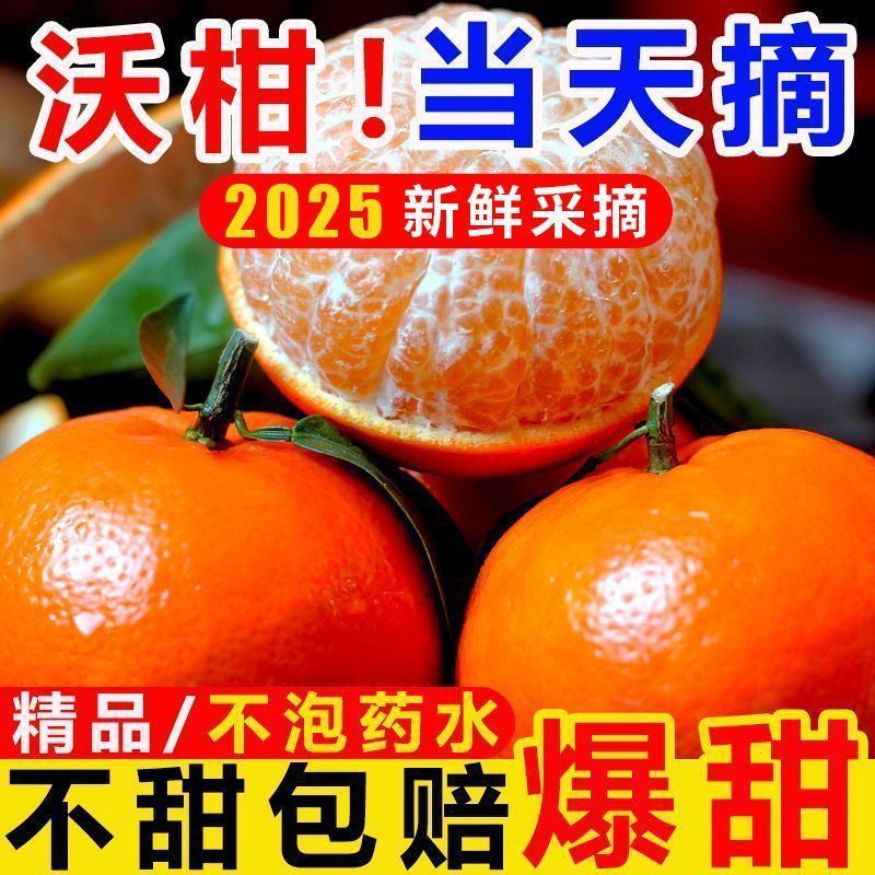 【精选】正宗云南沃柑新鲜现摘应季水果超甜蜜橘子整箱