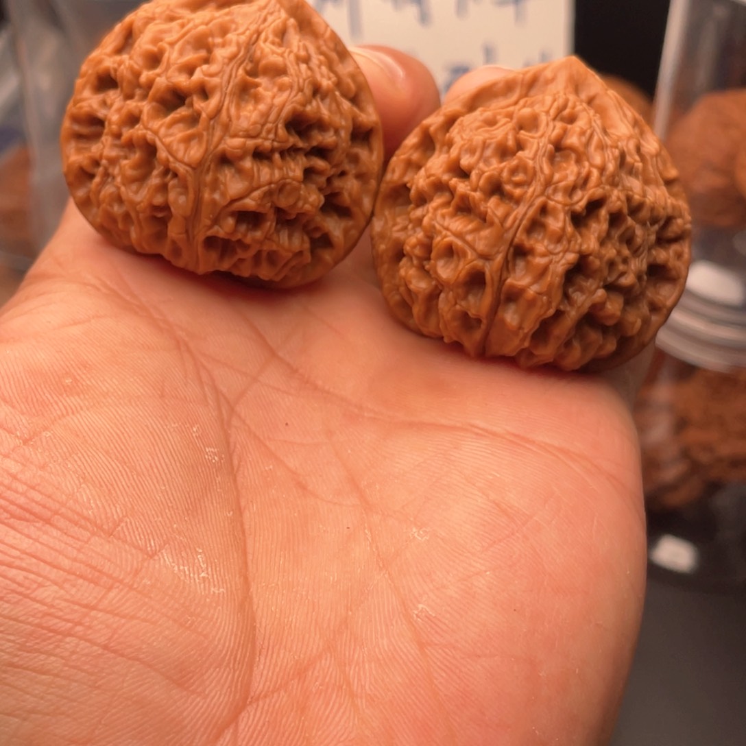 文玩核桃吊坠王*木44水龙纹