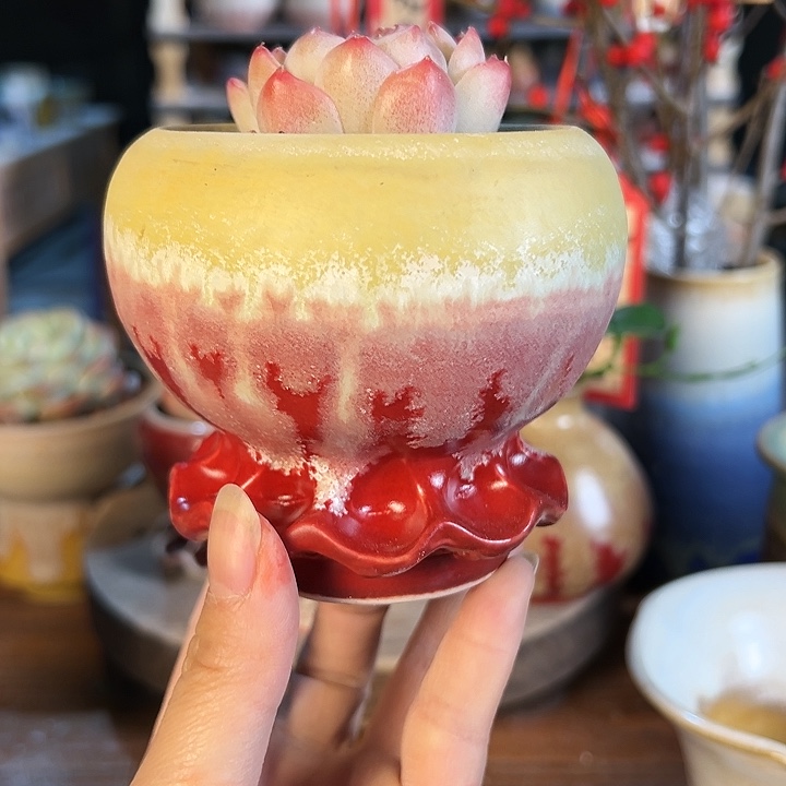 景德镇陶瓷2单包邮