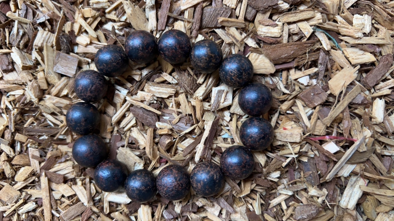 沉香x50 福来精选高端文玩