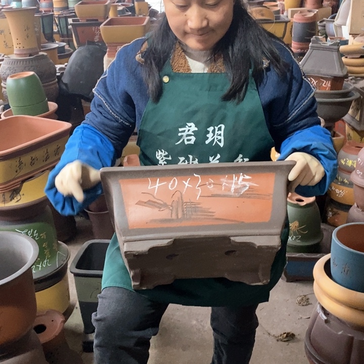 紫砂花盆盆栽花卉苗木种植