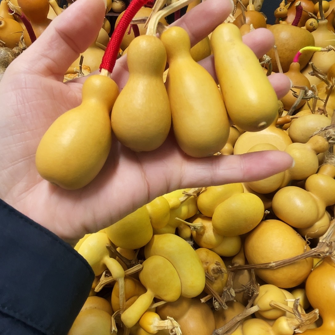 张***ﾞ葫芦瓶子好看的呐