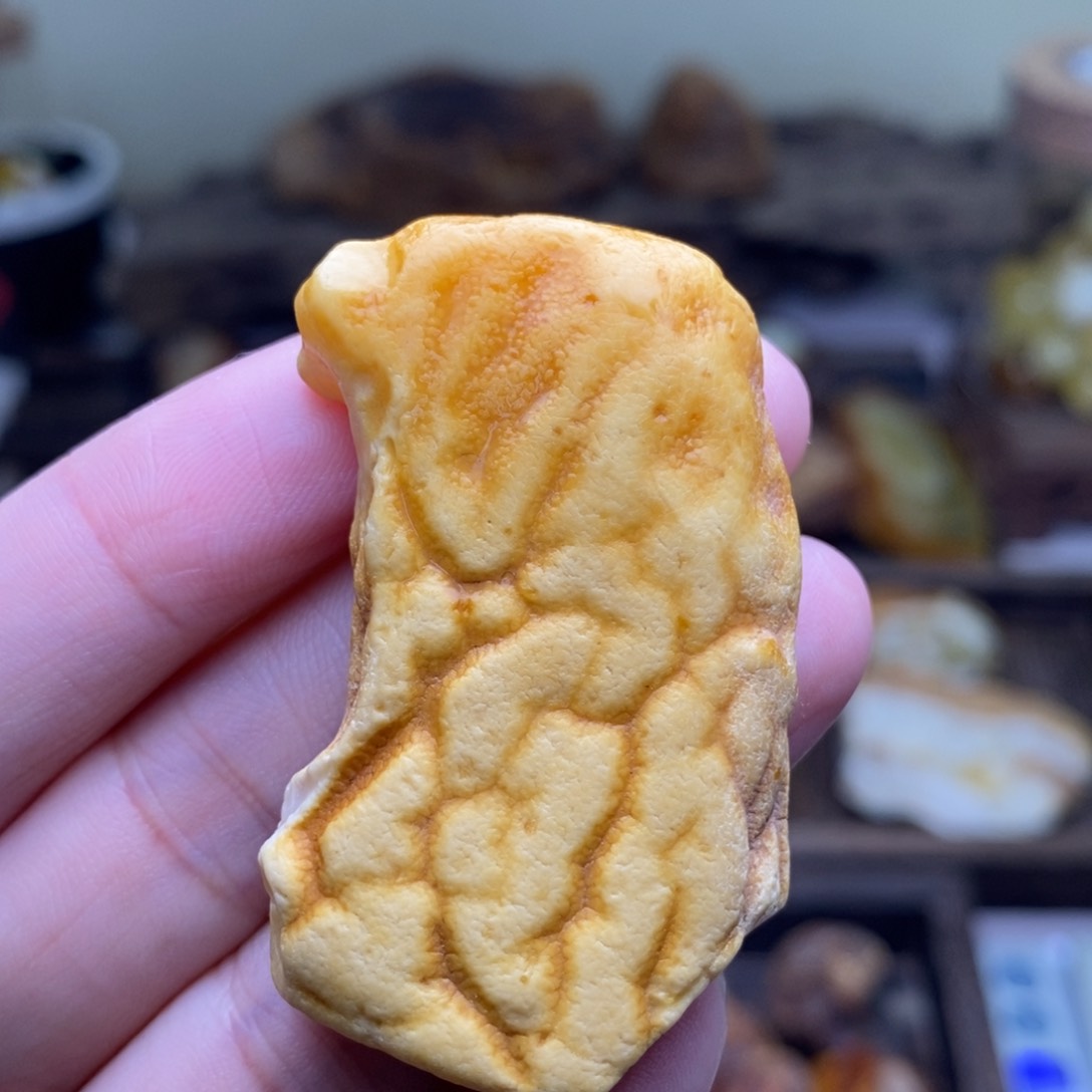 【闪购商品】定制琥珀天然蜜蜡乌料