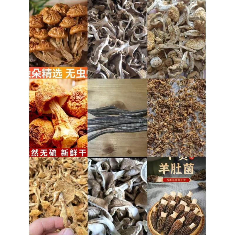 FD75 【海笼】高端品质   香菇菌子   现收山货