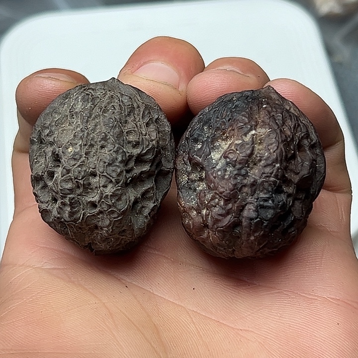 文玩核桃把件61号云铁38尺38克