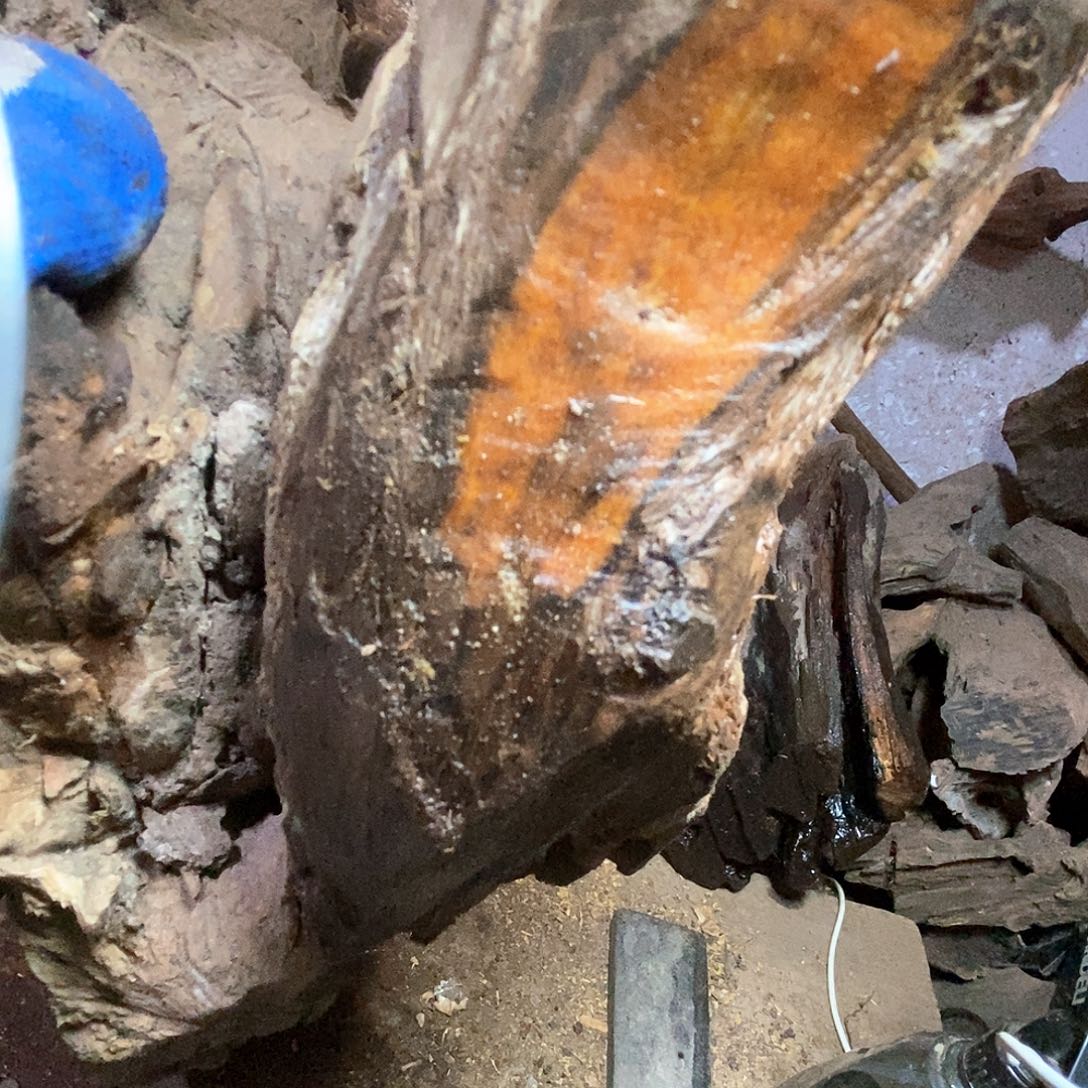 海***哟贡木把件我是不是应该在