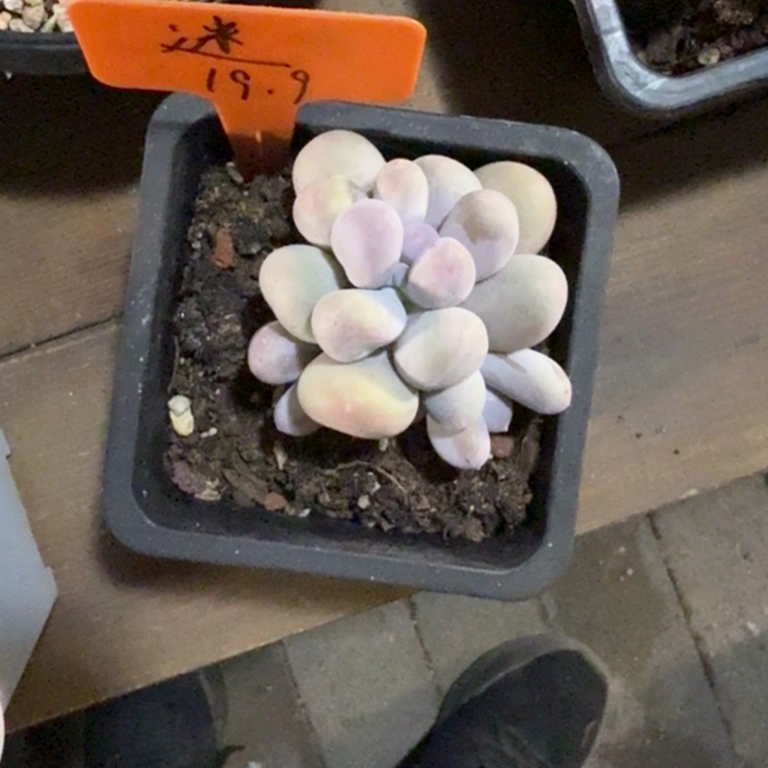 迷****1111111111111111111