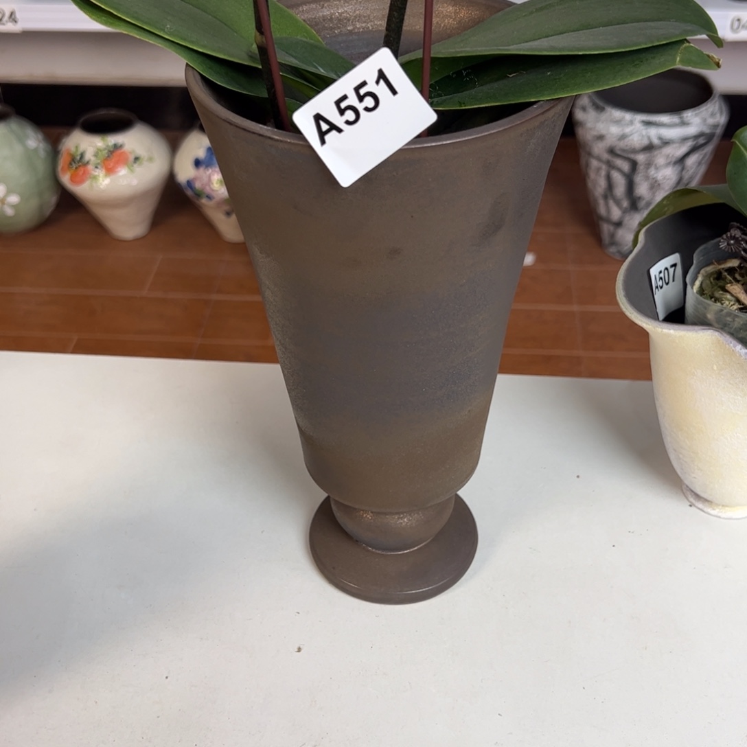 脑***大551景德镇手工花盆