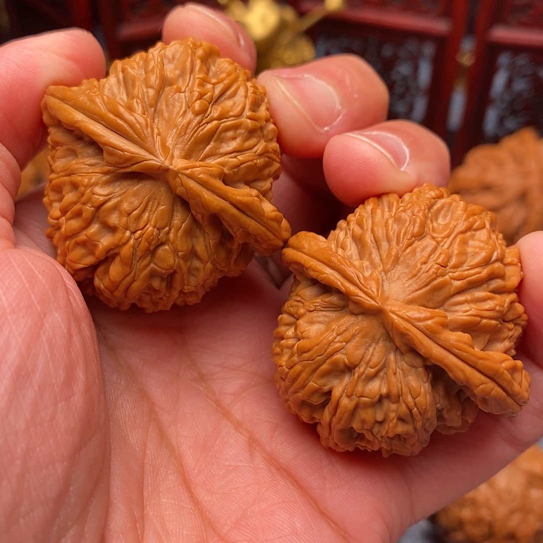 文玩核桃把件毕业全品白狮子40.5尺