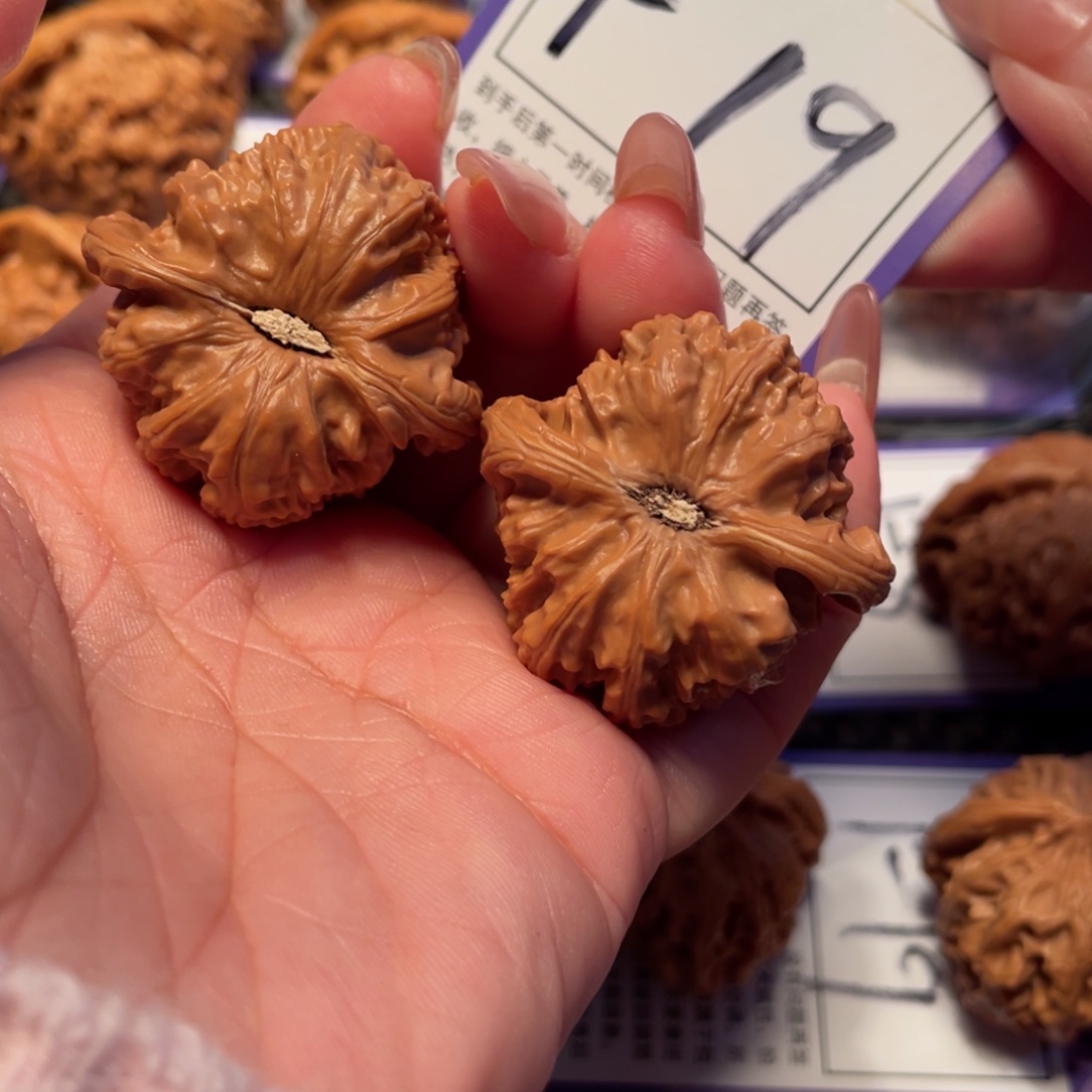 文玩核桃把件19号白狮子38