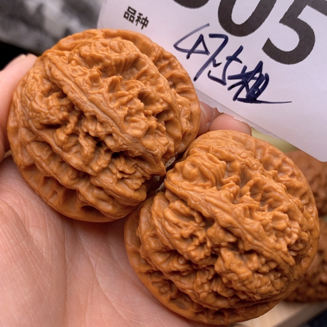 文玩核桃把件305号47.5粗筋