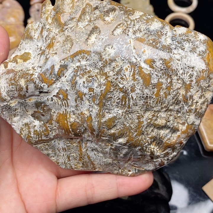 硅化珊瑚（珊瑚玉）手镯未镶嵌