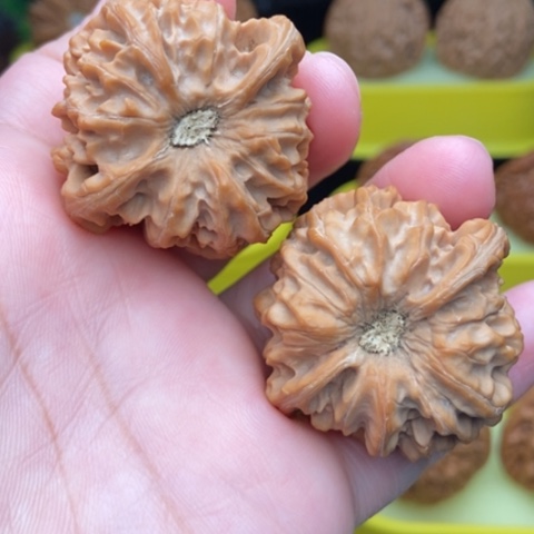 把件文玩核桃龙门涧39全品