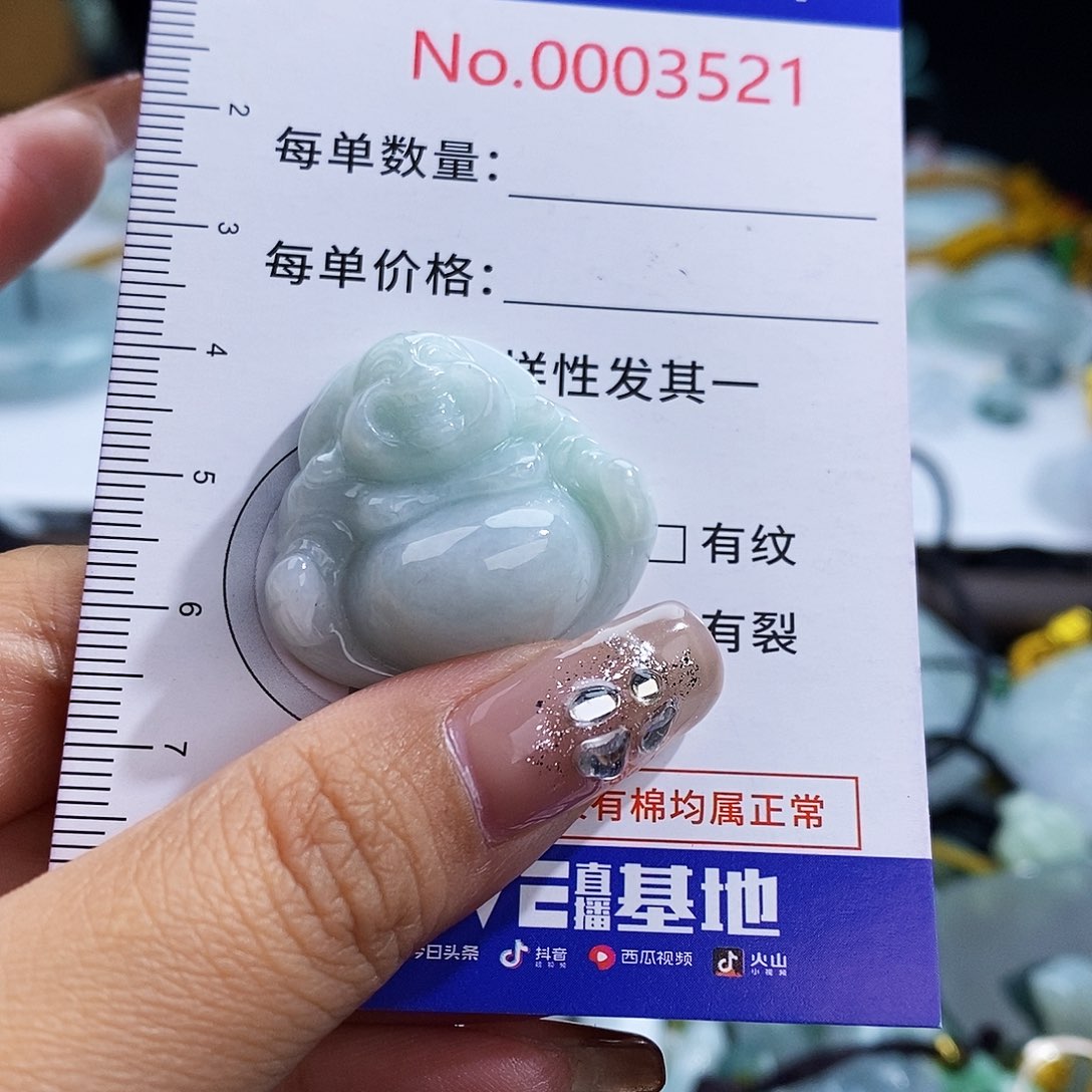 翡翠未镶嵌颈饰3521