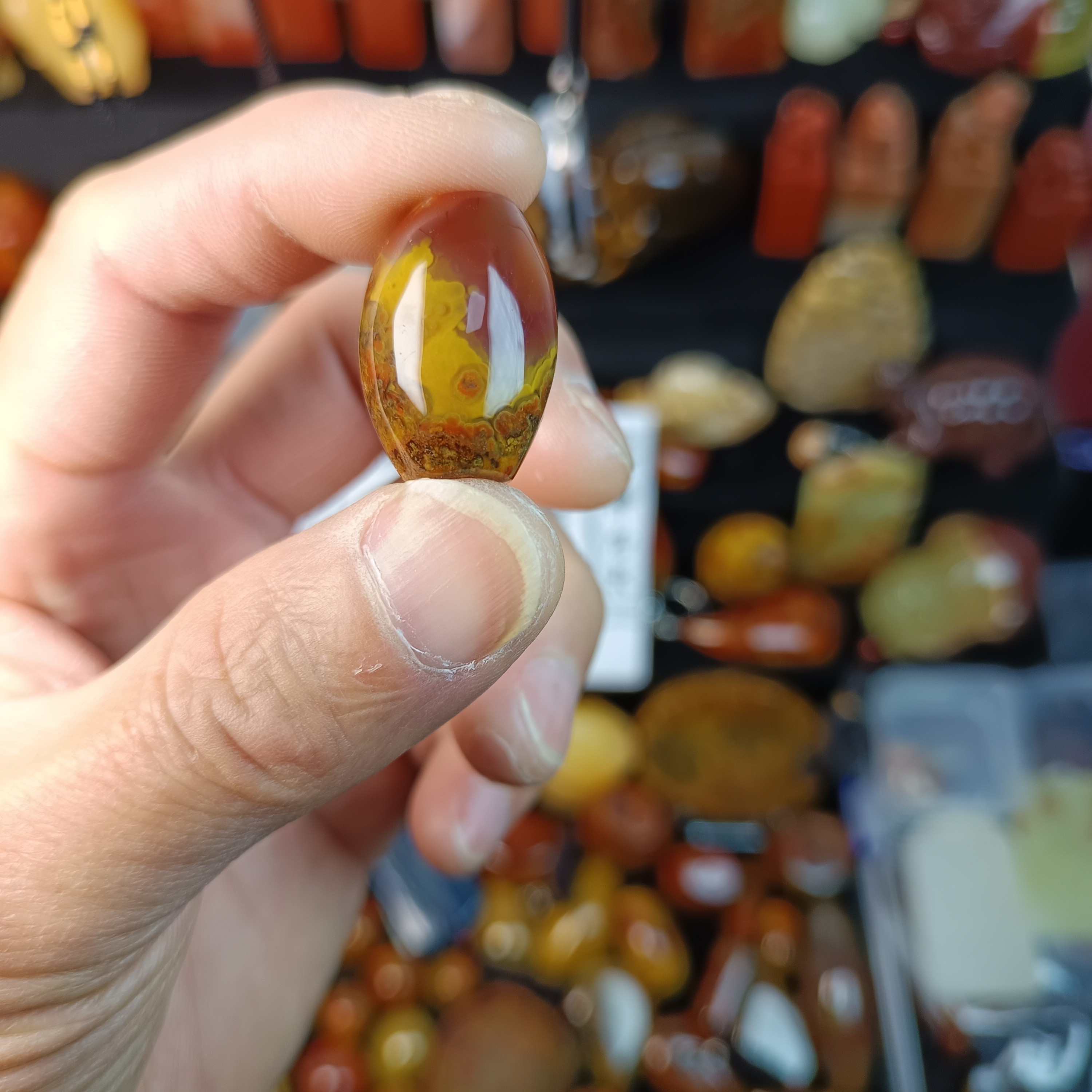 奇石奇石红黄草花25+