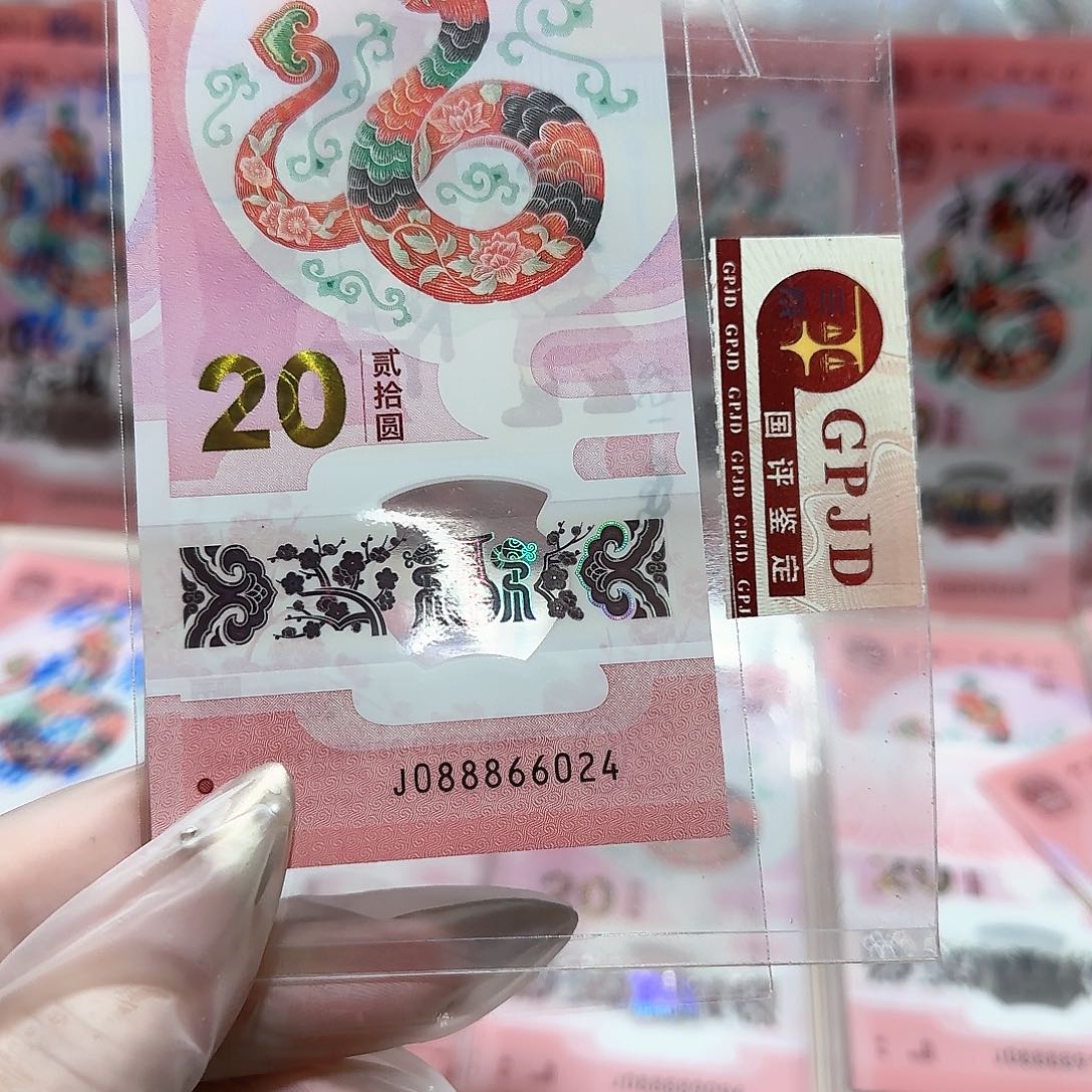 纸088866024。。。。。。。。。全偶