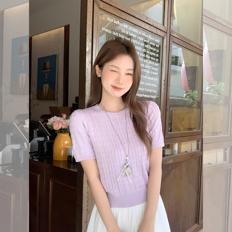 2025初夏超好看麻花针织圆领短袖T恤女新款小个子甜美减龄小上衣