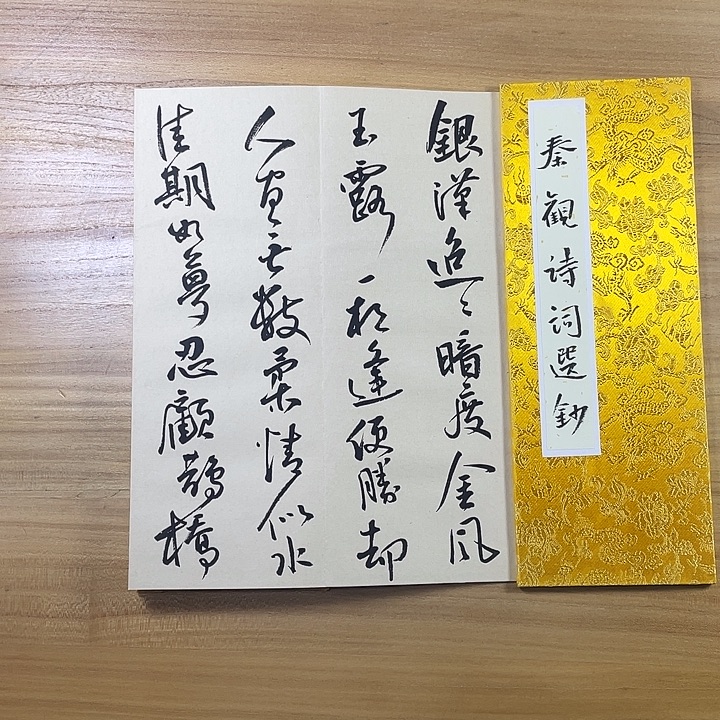 书法中书协会员作品