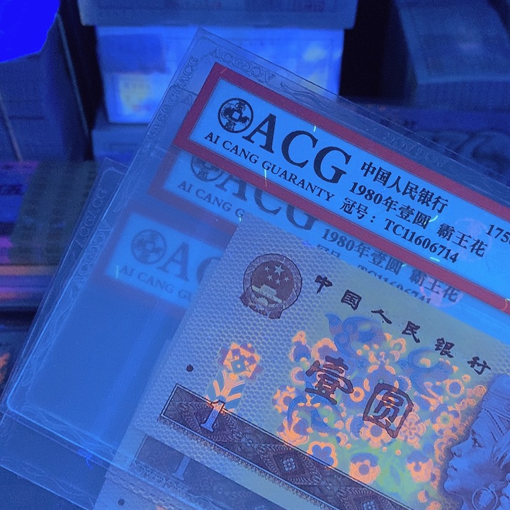 红金龙一张一张一张一张一张一11606流水