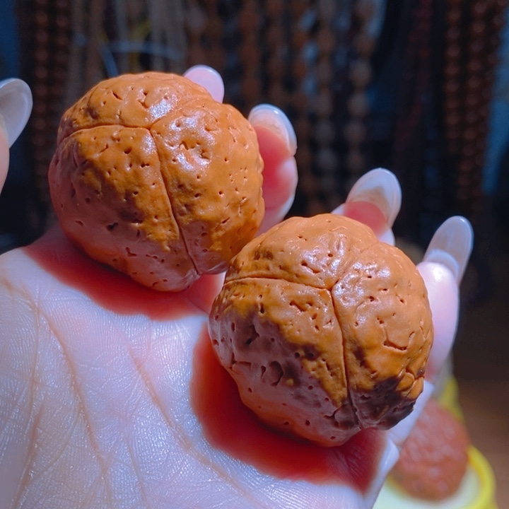 野生三瓣大金刚光头强3740