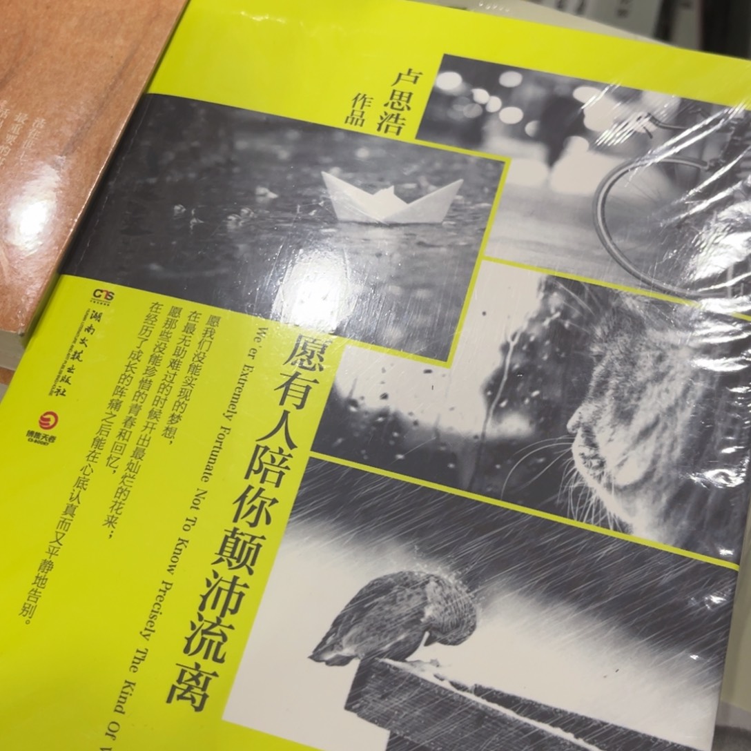 愿有人陪你颠沛流离