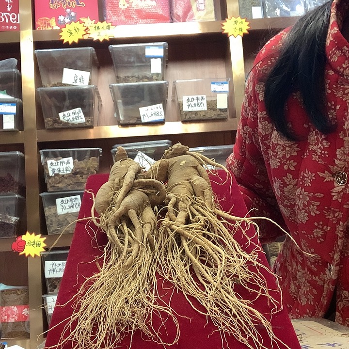 中国大陆瑕疵参一对