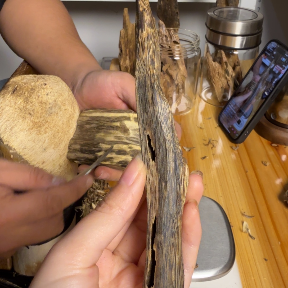 沉香张勺子虫漏香11克