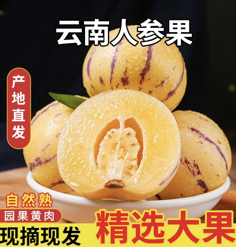 【云南人参果]】树上自然自然成熟·黄肉圆果·新鲜采摘