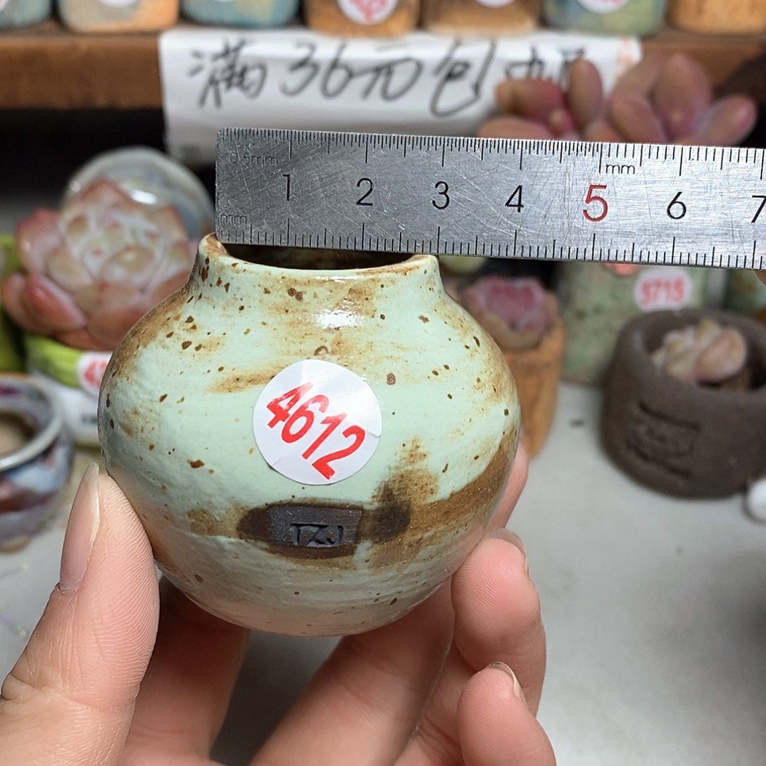 红陶拍5送一个小