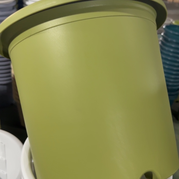 特价6#无托果绿7个