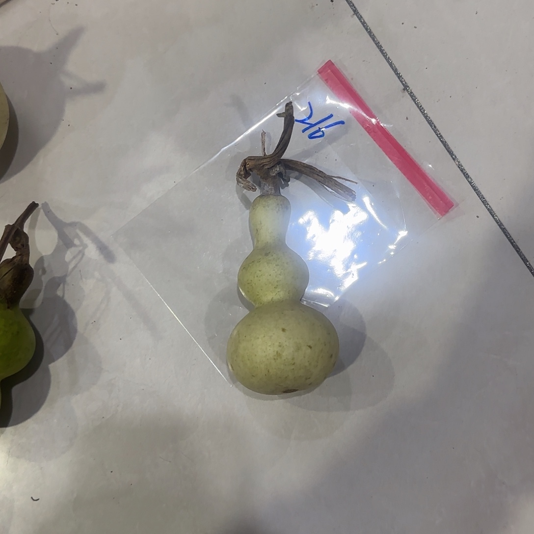 壹****青皮不包成青皮不包成