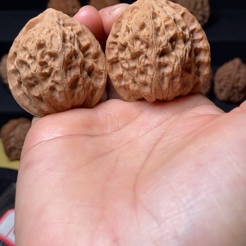 文玩核桃全品崔凯公子帽尺