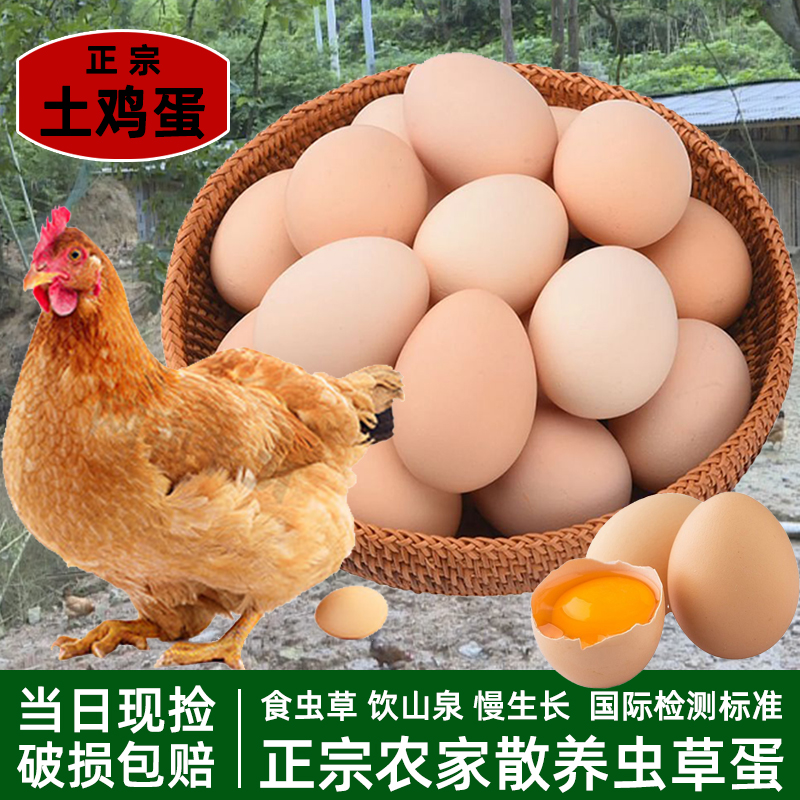 【50枚甄选每日现捡】正宗农家散养土鸡蛋生鲜专线农场新鲜营养鲜蛋