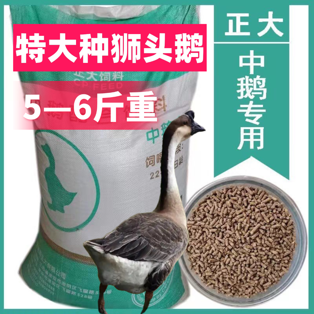 【5-6斤】狮头鹅专用饲料  顺丰速运
