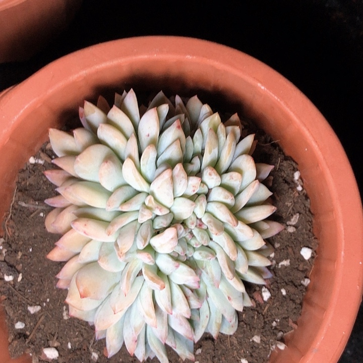 开*、104///////////////