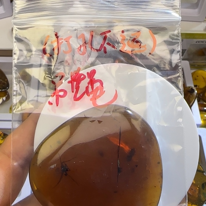 睛***琥珀未镶嵌裸石虫珀标本