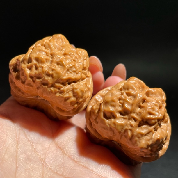 编号3090精品金蟾蛤蟆头蜡皮精品配对一物一发