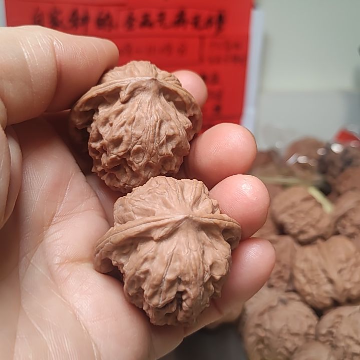 文玩核桃把件36的全品野狼