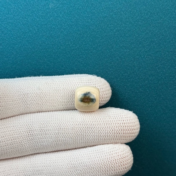 D51-60天然猛犸牙 蓝眼睛老型珠12x11.3mm支持复检假一罚十