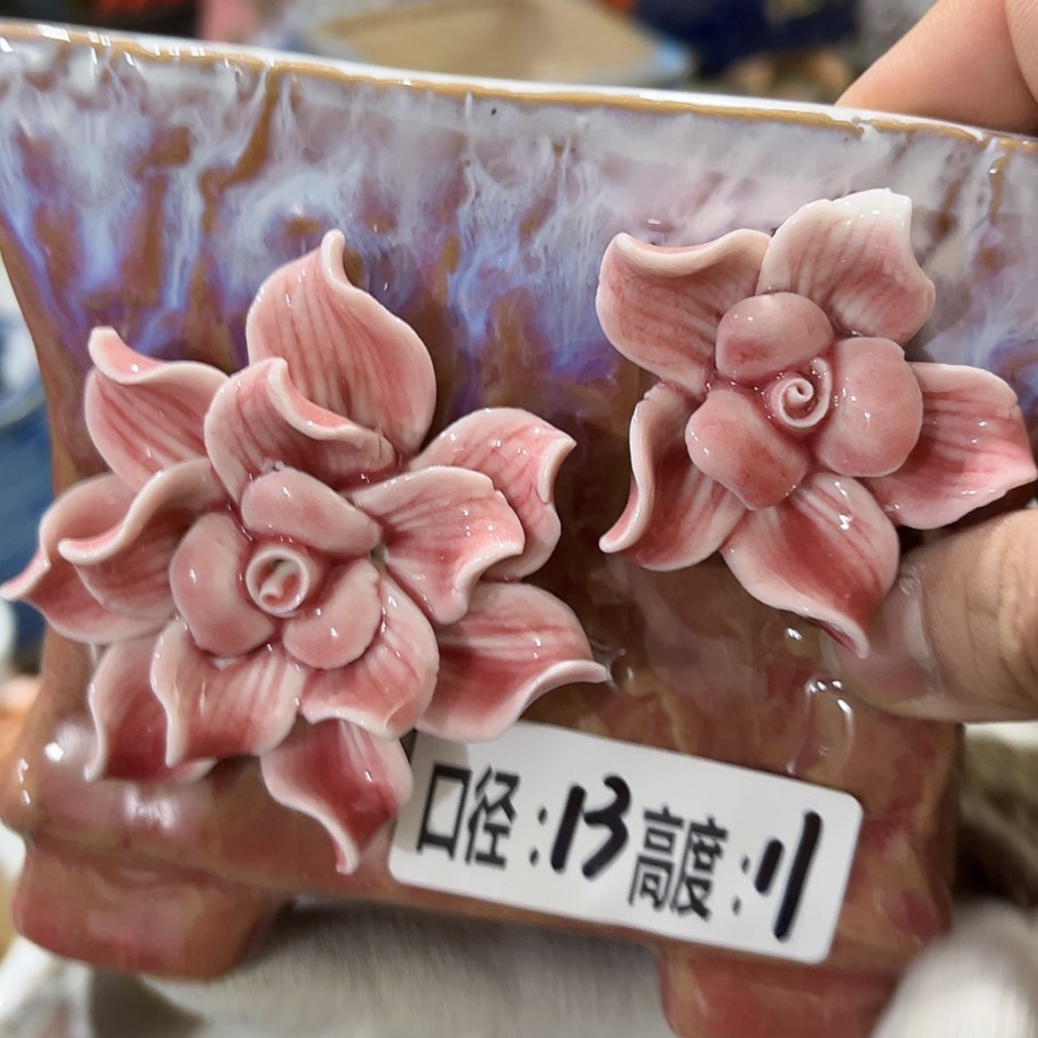 【闪购商品】红陶福利